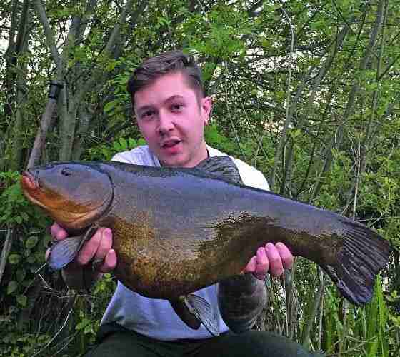 Seven Types Of Bait That The Tench Loves