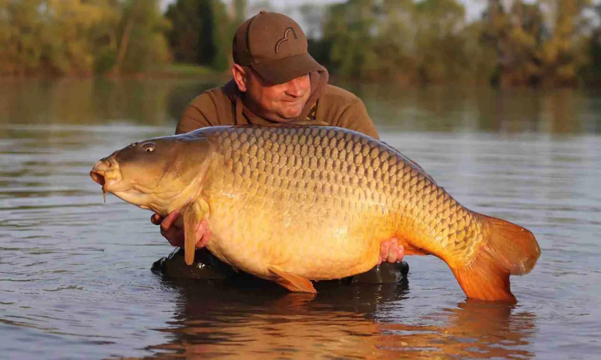 Biting carp in autumn winter spring and atmospheric pressure scaled
