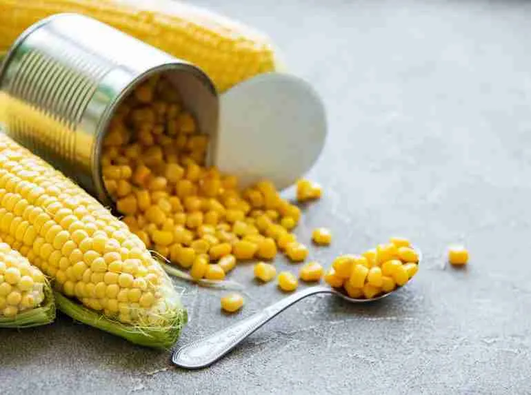 Canned corn for feeder fishing