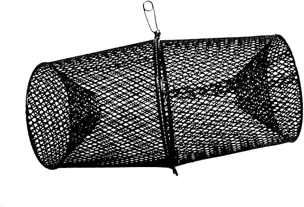 Minnows Trap