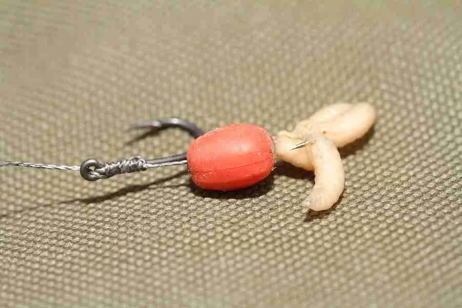Carp Hair Rig