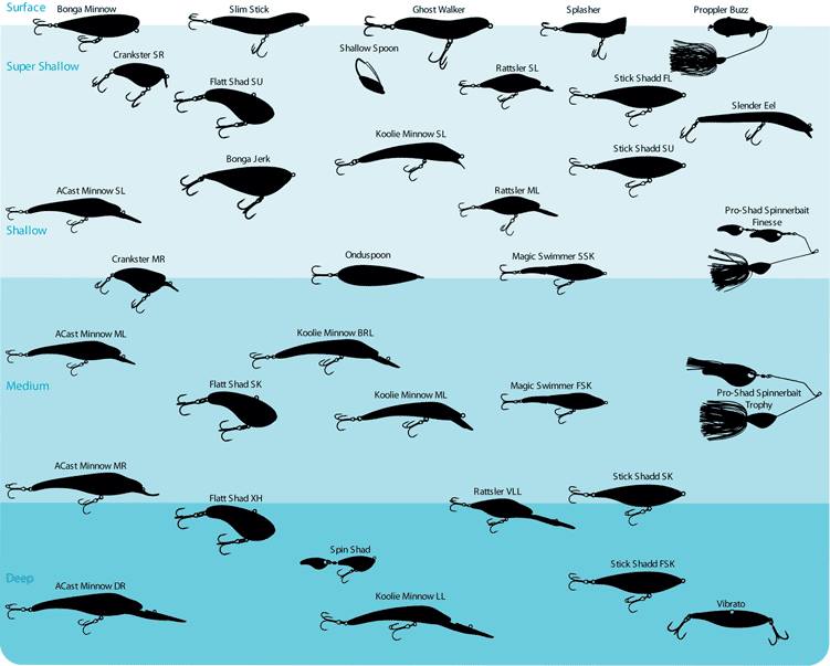 What Depth Should I Fish At?